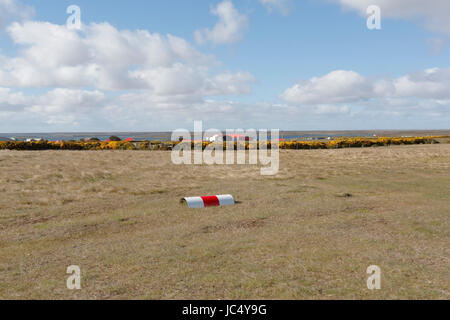 Blick auf Darwin, East Falkland, Falkland-Inseln Stockfoto