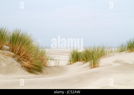 Zeigen Sie zwischen zwei Dünen mit Dünengebieten Rasen auf einem riesigen Strand und das Meer gewachsen an Stockfoto