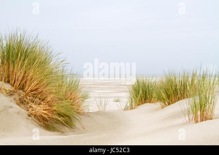 Zeigen Sie zwischen zwei Dünen mit Dünengebieten Rasen auf einem riesigen Strand und das Meer gewachsen an Stockfoto