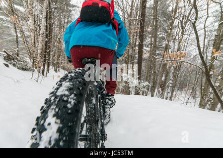 Fette Reifen Fahrrad in einem verschneiten Wald. Stockfoto