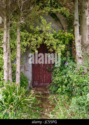 Geheimnisvolle gewölbte Tür mit verwilderten Pflanzen, Isle Of Wight, Großbritannien Stockfoto