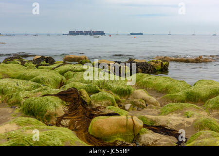 Containerschiff auf Solent, Blick aufs Meer, Isle Of Wight, Großbritannien Stockfoto