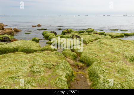 Belebten Schifffahrtsweg, Solent aus Meerblick, Isle Of Wight, Großbritannien Stockfoto