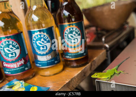 Lezarde Brauerei Stockfoto