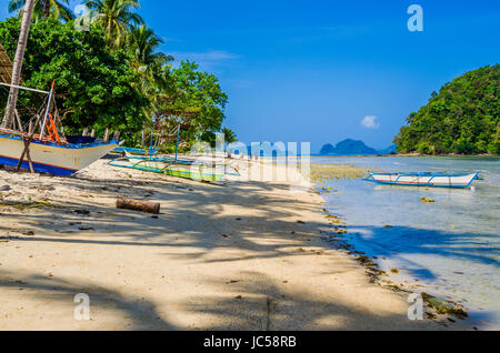 Angelboote/Fischerboote am Ufer unter Palmen. Tropische Insellandschaft. El Nido, Palawan, Philippinen. Asien Stockfoto