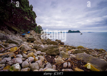 Schönen Felsstrand Cathedral Cove marine Reserve auf der Coromandel-Halbinsel in Neuseeland. Stockfoto