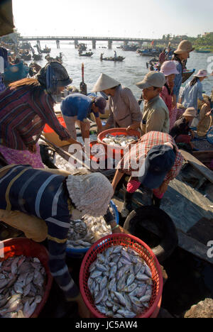 Frauen kaufen Fisch aus den Fischerbooten, die ankommen in den frühen Morgenstunden auf dem Fischmarkt am Thu Bon Fluss, in die historische Stadt von Hoi an, Vietnam Stockfoto