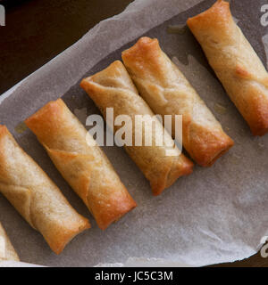 Hausgemachte Frühlingsrollen frisch aus dem Ofen. Stockfoto