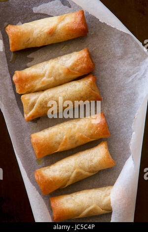 Hausgemachte Frühlingsrollen frisch aus dem Ofen. Stockfoto