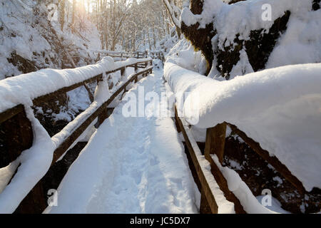 Schneebedeckte Fußgängerbrücke in der Kamačnik-Schlucht, Kroatien Stockfoto