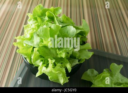 Gemüse, Blätter köstlicher frischer grünen Salat in einer Schüssel auf graue Schale. Stockfoto