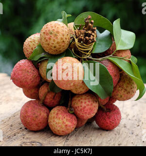 Vietnam-Obst, Litschi oder Litschi, Südfrüchte, lecker, süß bei Bac Giang, von Vai Thieu auf grünem Hintergrund Bund Stockfoto