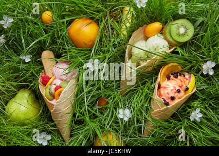 Sommer Sortiment an Eis mit Fruchtaromen von Kiwi, orange, Beeren in einer Waffelkegel vor dem Hintergrund einer grünen Rasen, Blumen und Früchte Stockfoto