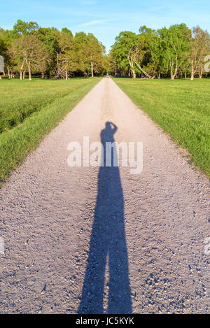 Lange Schatten der Fotograf auf geraden und schmalen Landstraße Vorfeld Wald und einen Tunnel von Laub weit entfernt. Stockfoto