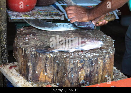 Frische ganze Fische vorbereitet zum Kochen Stockfoto