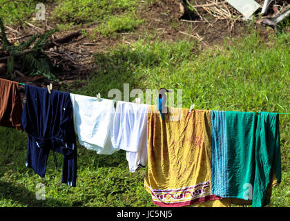 Weiße breasted Kingfisher sitzen auf der Wäscheleine in Sr Lanka Stockfoto