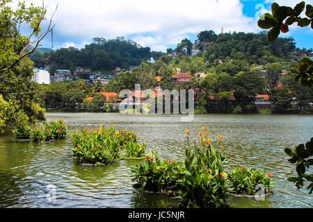 Schöne Stadt Kandy in Sri Lanka Stockfoto