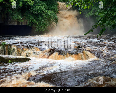 Torfigen Wasser nach Regenfällen in West Burton Wasserfall oder Kessel fällt an West Burton Wensleydale in Yorkshire Dales England Stockfoto