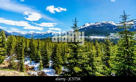 Die schneebedeckten Berggipfel der Coast Mountain Range entlang der Duffey Lake Road, Highway 99, zwischen Pemberton und Lillooet im südlichen BC, Kanada Stockfoto