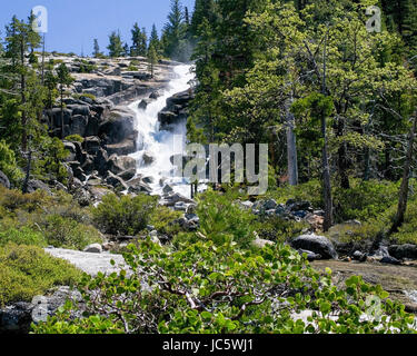 Bassi fällt am Eldorado National Forest, Kalifornien, USA am Ende des Winters 2017, nach vielen Regenstürme. Stockfoto