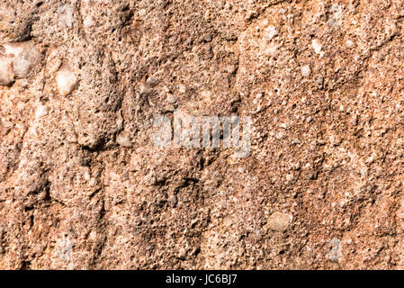 Nahaufnahme von fein strukturierten mineralisierten Stein - Zwecken Hintergrund Stockfoto