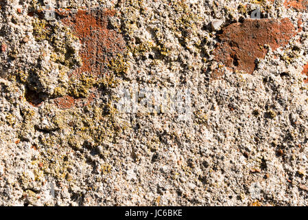 Nahaufnahme von fein strukturierten mineralisierten Stein - Zwecken Hintergrund Stockfoto