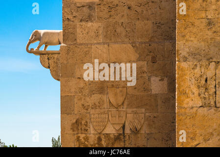 Cagliari Elefant Turm, Detail der Fassade der Torre dell'Elefante im Quartier Castello zeigt ein Stein Elefant, stehend auf einem Corbel. Stockfoto