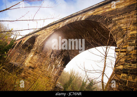 Yarn-Viadukt über den Fluss Tees Stockfoto