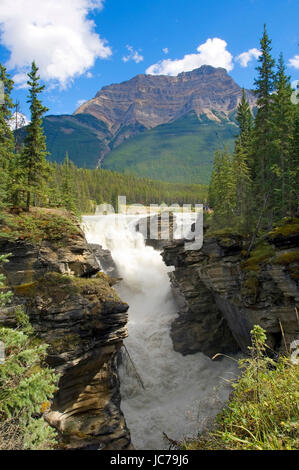 Athabasca Fall, Athabasca Falls Stockfoto