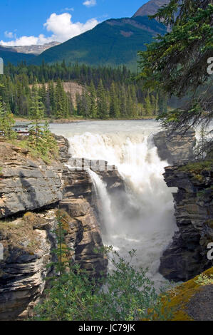 Athabasca Fall, Athabasca Falls Stockfoto