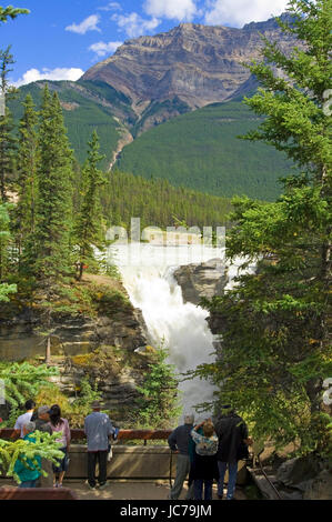 Athabasca Fall, Athabasca Falls Stockfoto