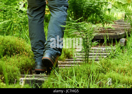 Mann zu Fuß auf einem hölzernen Pfad durch den grünen Wald Stockfoto