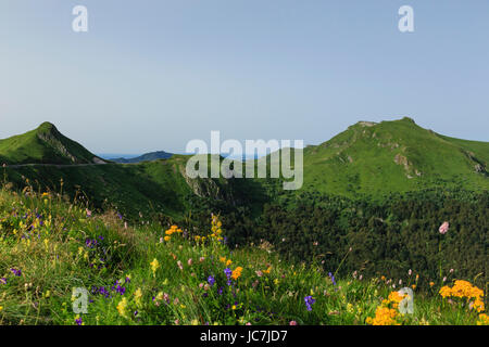 Frankreich, Cantal (15), vers le Puy Marie Strecke vers le Pas de Peyrol / / Frankreich, Cantal, in der Nähe von Puy Mary, Weg zum Pas de Peyrol Stockfoto