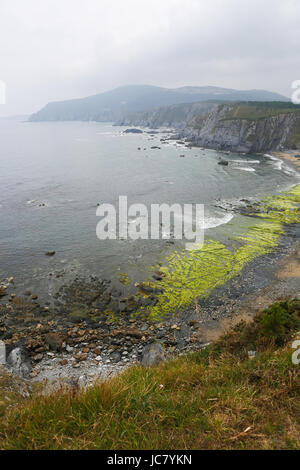 Schönen Atlantikküste in der Nähe von Ortigueira, Rias Altas Region, Galicien, Spanien. Stockfoto