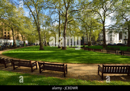 Berkeley Square, Mayfair, London, Vereinigtes Königreich Stockfoto