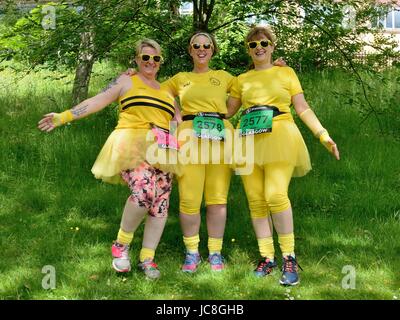 Kelvingrove Park, Glasgow, Vereinigtes Königreich. 4. Juni 2017. Das Wetter blieb fein und sonnig für die einfach Gesundheit Frauen Spaß 10k laufen Stockfoto