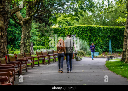 Glasgow 14. Juni 2017. Leicht bewölkt, aber warmen Tag in den botanischen Gärten. Bildnachweis: ALAN OLIVER/Alamy Live-Nachrichten Stockfoto