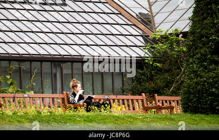 Glasgow 14. Juni 2017. Leicht bewölkt, aber warmen Tag in den botanischen Gärten. Bildnachweis: ALAN OLIVER/Alamy Live-Nachrichten Stockfoto