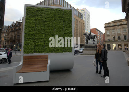 Glasgow, Schottland. 14. Juni 2017. Glasgow feiert das erste nationale saubere Luft Tag (NCAD) am 15. Juni durch die Installation der Ersteres von zwei lebende Skulpturen entworfen, um die Luft in zwei der verkehrsreichsten Straßen zu reinigen. Abgebildet ist der erste installierte im Royal Exchange Square, in der Nähe der Gallery of Modern Art und der ikonischen Kegel leitete Herzog von Wellington Statue. Zweitens soll später zum Zeitpunkt der Bildhauerei an der von der zentrale Busbahnhof laufen installiert werden. Bildnachweis: Gerard Fähre/Alamy Live News Stockfoto