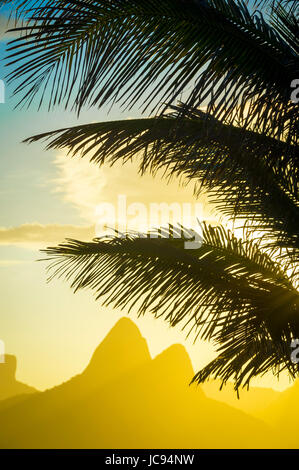 Goldener Sonnenuntergang leuchtet die Silhouette der Palmwedel gegen den ikonischen Umriss der beiden Brüder Berg in Strand von Ipanema, Rio De Janeiro, Brasilien Stockfoto