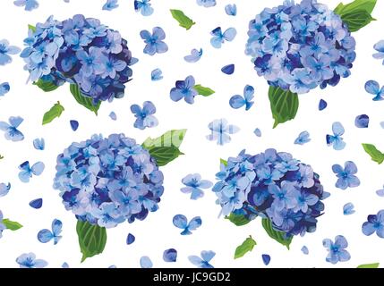 Hydrangea Hortensia nahtlose Blumenmuster. Vektor Aquarell lila blau Farbe Vintage Illustration Sommer Herbst Blumen zum Geburtstag, Hochzeit Schmetterling Stock Vektor