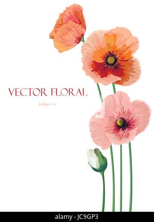 Blume rosa Pfirsich Mohn Blumen, Knöpfe, verlässt schöne schönen Frühling Pastell weichen Mohnblumen Strauß-Vektor-Illustration Draufsicht vertikal elegant Stock Vektor