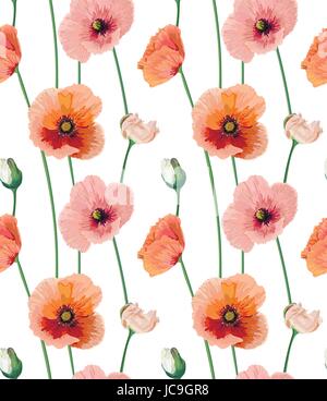 Vintage roter Mohn schöne weiche Pfirsichblumen, Tasten Hintergrund, nahtlose Tapete botanische feinen Blumenmuster Aquarell Stil Illustra blühen Stock Vektor