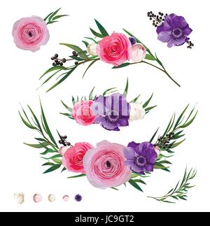 Ranunkel-Blume Rose Anemone Liguster berry Eukalyptus Zweige, Distel Blumen und Zierpflanzen großen Vektor Sammlung. Isolierte Elemente auf Stock Vektor