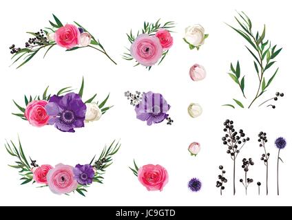 Ranunkel-Blume, Rose, Anemone, Liguster Berry, Eucalyptus Zweig, Distel Blumen dekorative Pflanzen große Vektor Sammlung. Isolierte editierbare Elemente Stock Vektor