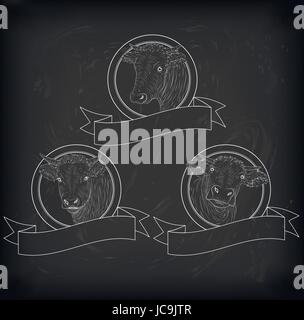 ow, gesetzt Kalb, Stier süße Schnauze Gesicht Sammlung Variation Aufkleber Symbol Tag Abzeichen Symbol Text Platz Etikettenband. Vektor-schöne quadratische schöne Tafel Stock Vektor