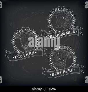 Kuh, Kalb, Stier süße Schnauze Gesicht Set Sammlung Variation Aufkleber Symbol Label Tag Abzeichen Symbol Text Eco Farm Rindfleisch Band. Vektor-schöne quadratische schön ch Stock Vektor