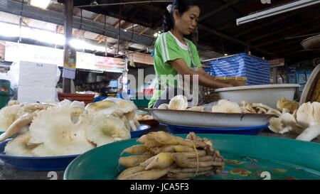 Chiang Mai Thailand 27. Mai 2011: eine Frau arbeitet hart am Markt in Chiang Mai. Stockfoto