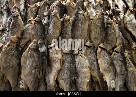Getrockneter Fisch auf den Tisch. Salzige trocken Flussfisch als Hintergrund, Ansicht von oben. Stockfoto