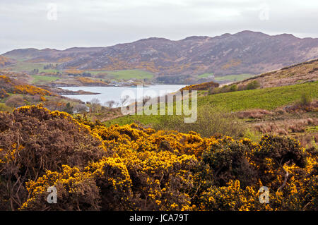Landschaft auf dem Weg nach Fanad Head Lighthouse, County Donegal, Irland Stockfoto